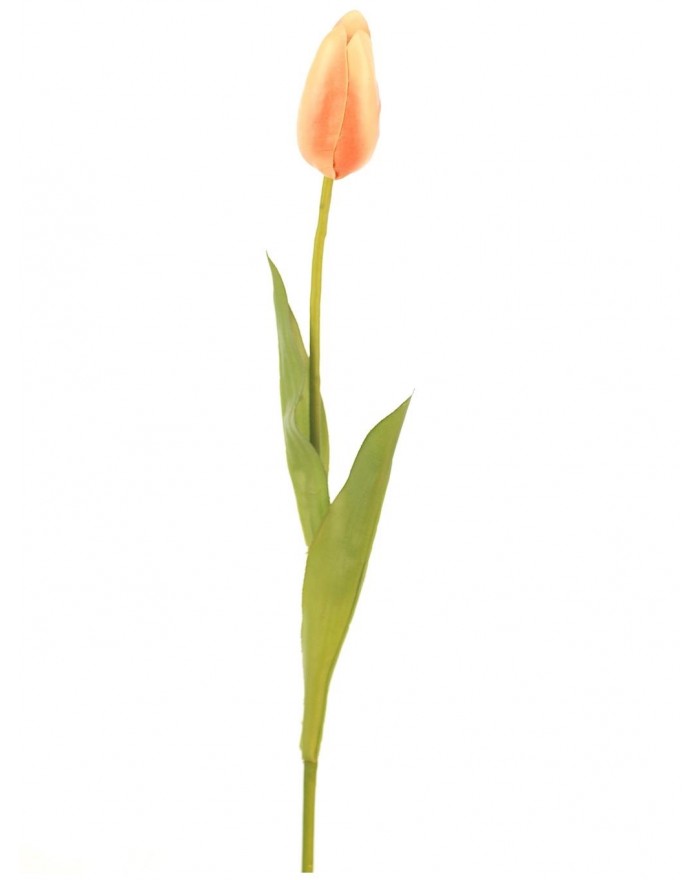 Tulipan  rosa 59cm l15777/pk