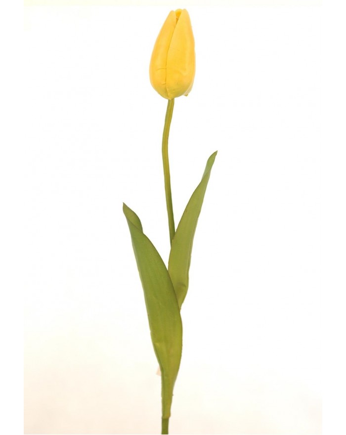 Tulipan blanca  59cm l15777/wh